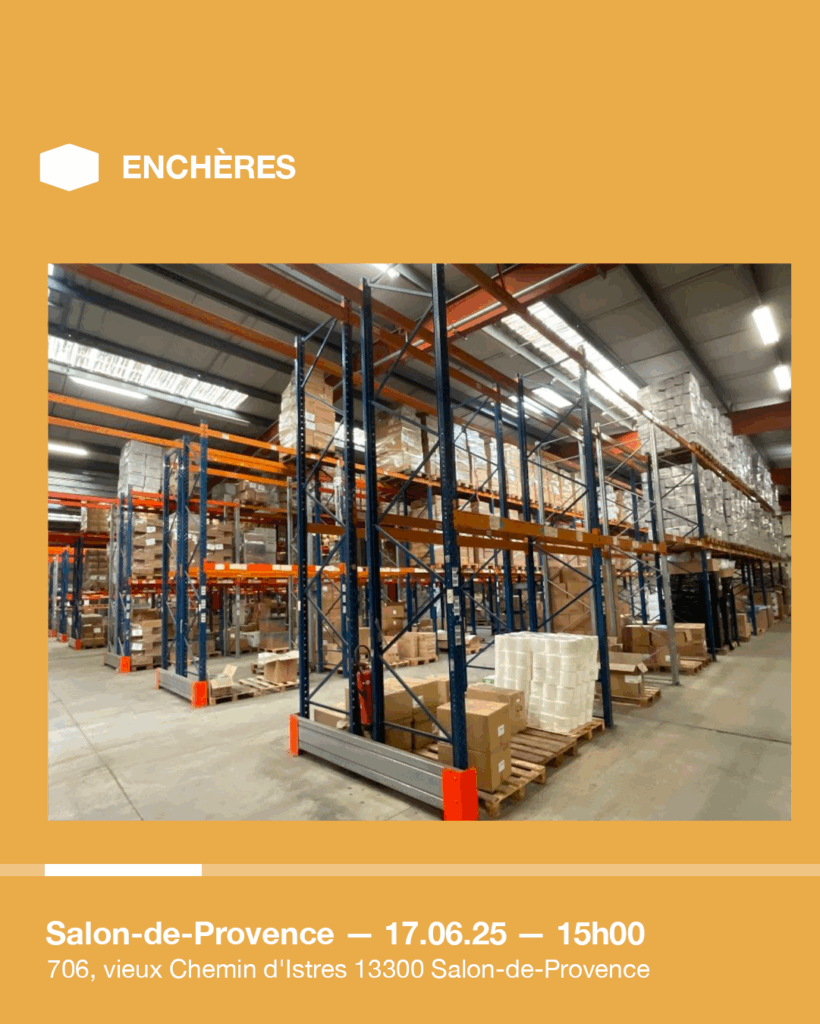 Plan de travail 1 copie 24