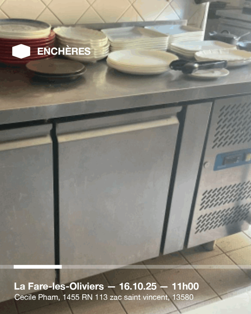 Plan de travail 1 copie 21