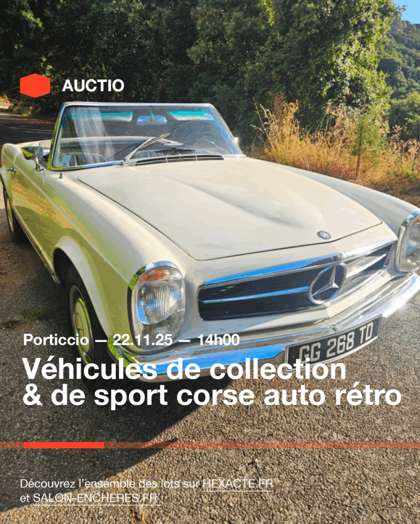 Plan de travail 1 copie 15