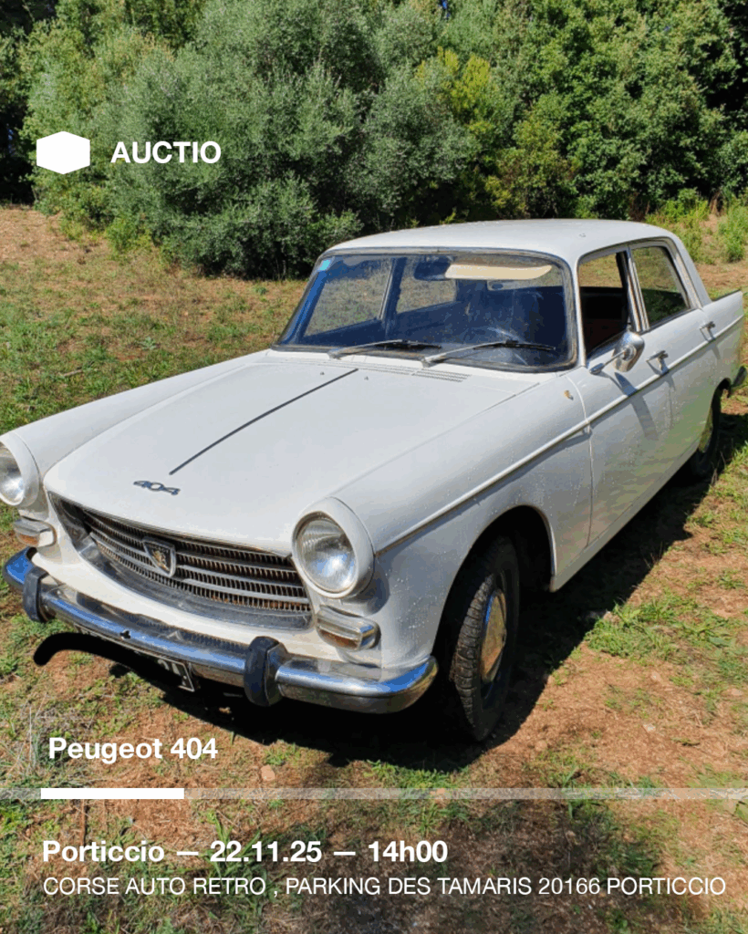 Plan de travail 1 copie 21