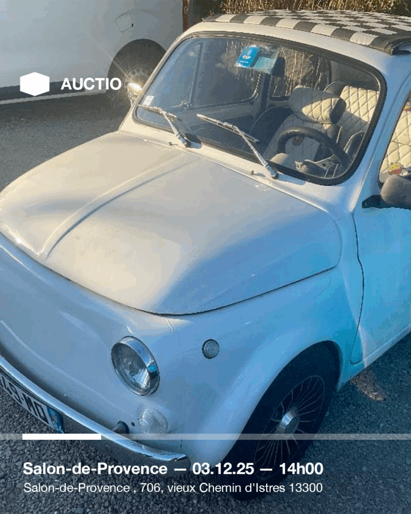 Plan de travail 1 copie 21