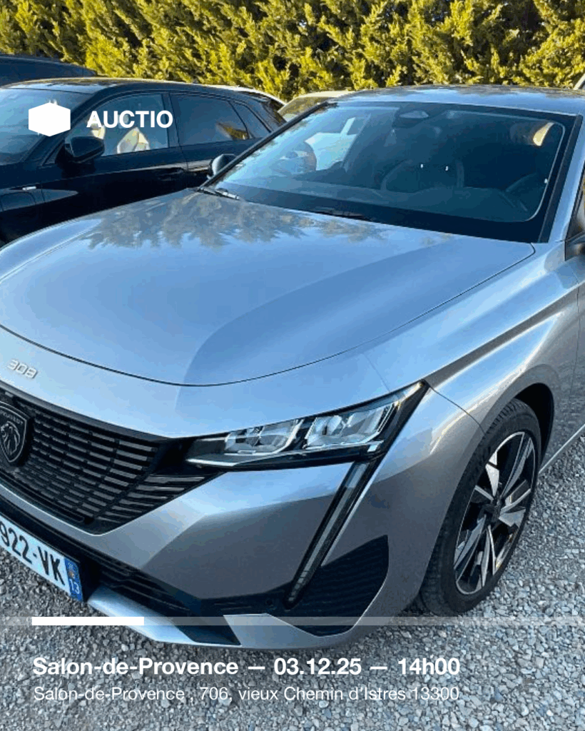 Plan de travail 1 copie 24