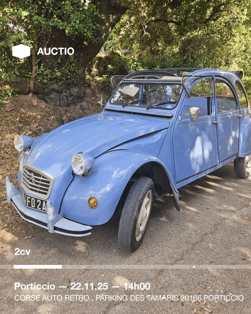 Plan de travail 1 copie 26