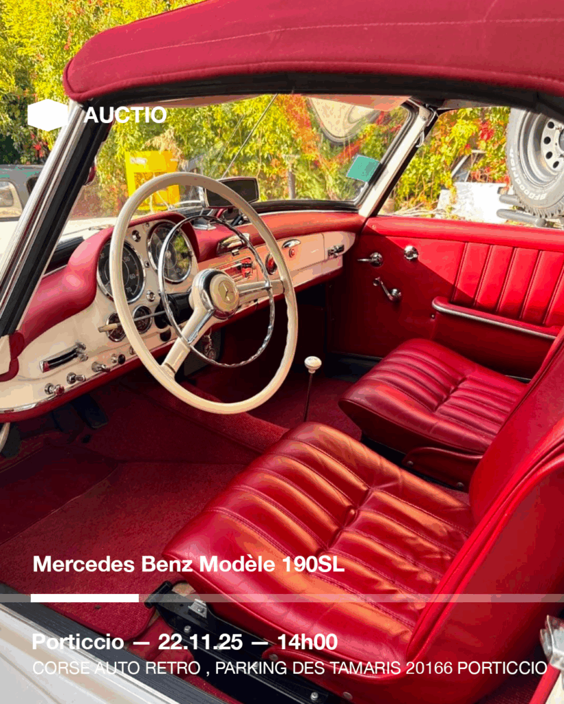 Plan de travail 1 copie 28