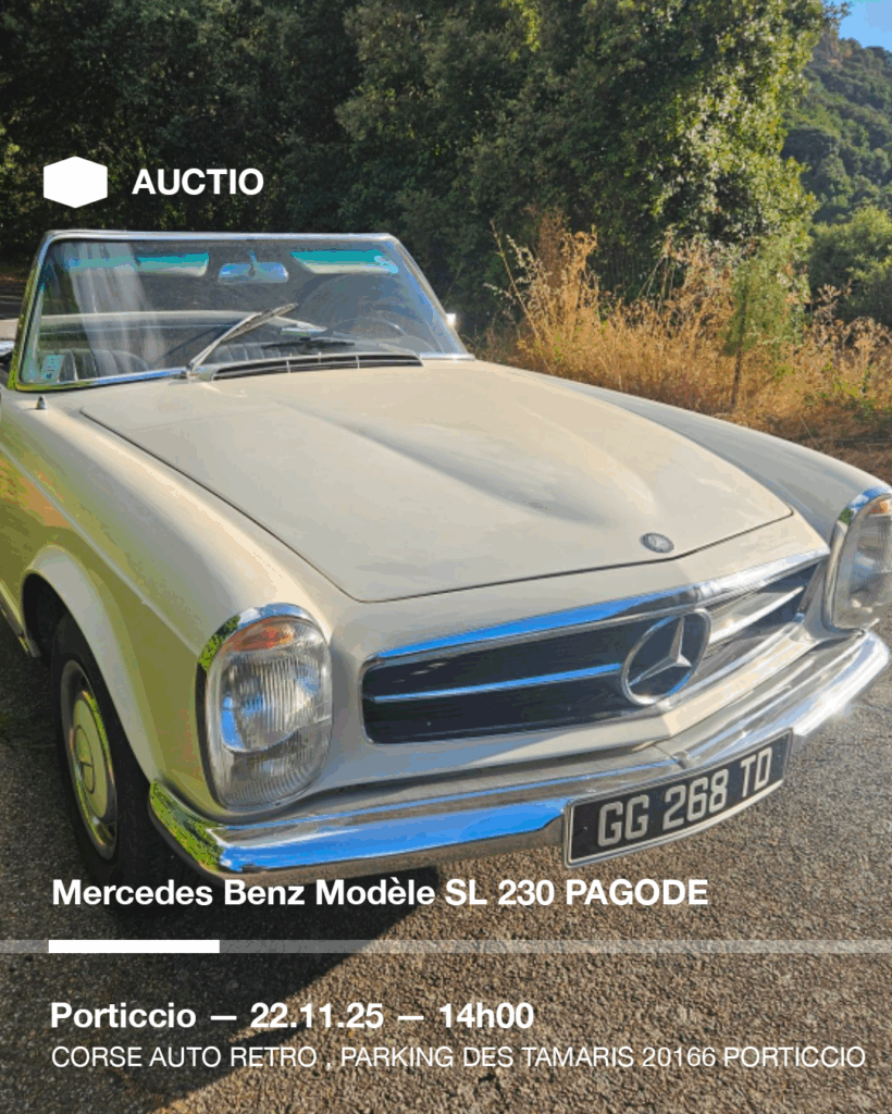 Plan de travail 1 copie 29