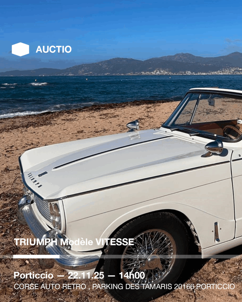 Plan de travail 1 copie 30