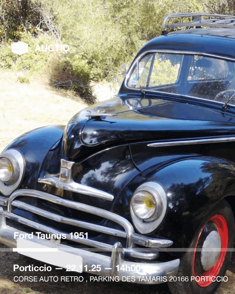 Plan de travail 1 copie 31