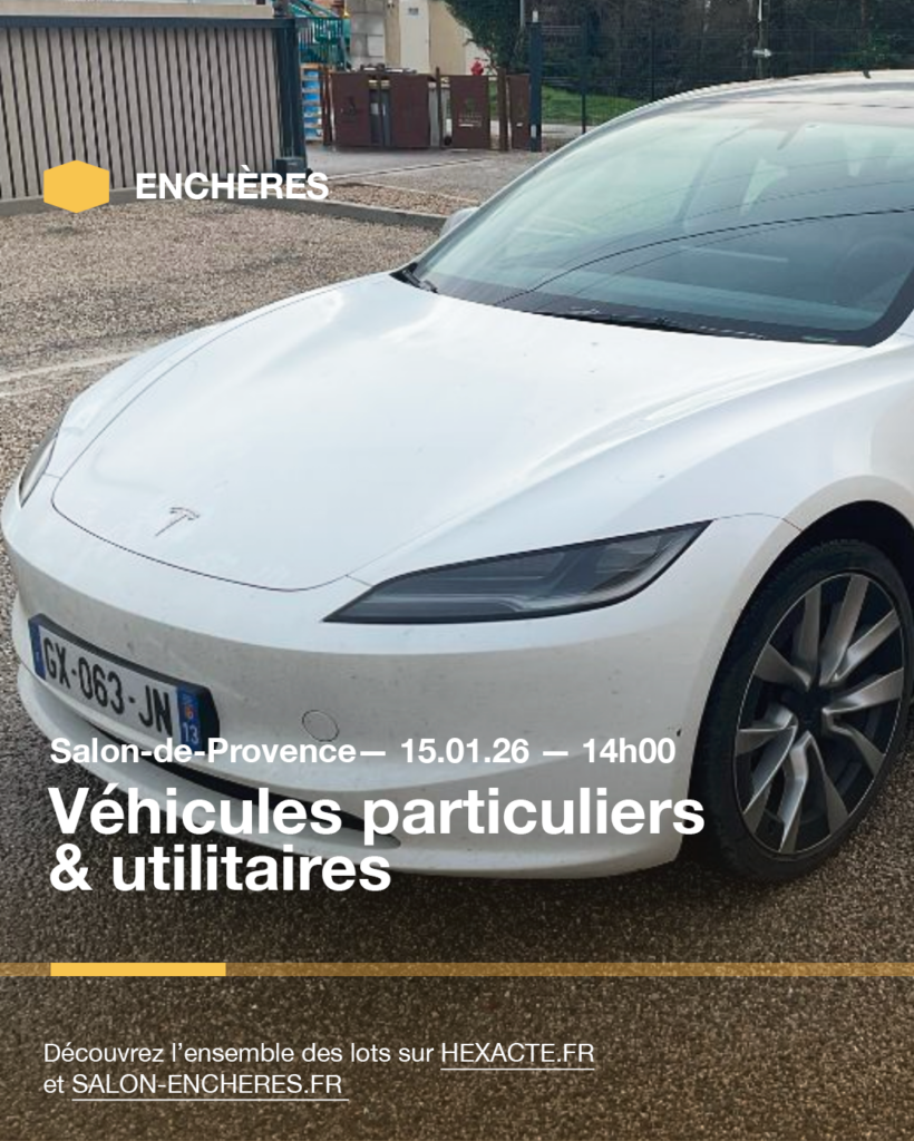 Plan de travail 1 copie 15