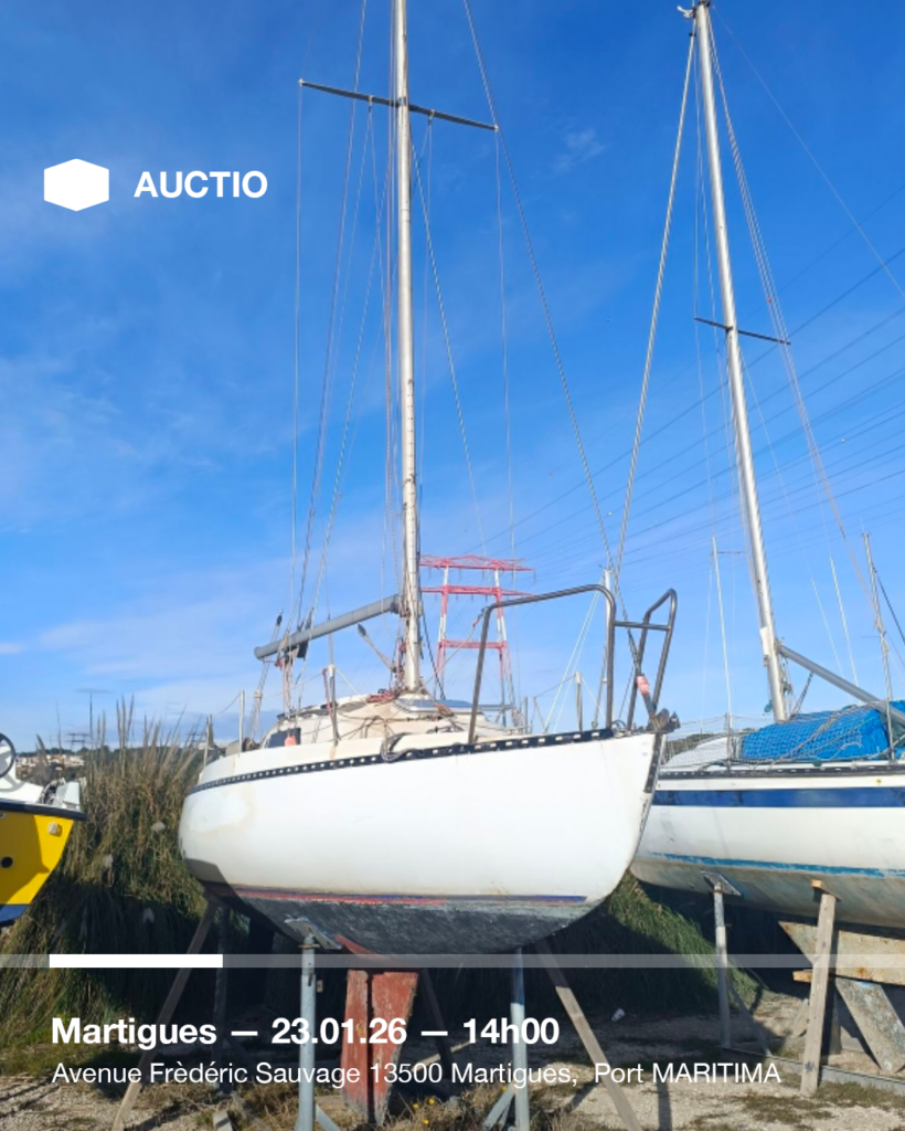 Plan de travail 1 copie 23