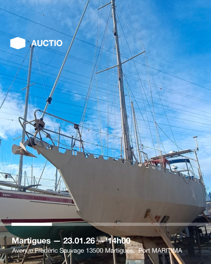 Plan de travail 1 copie 25