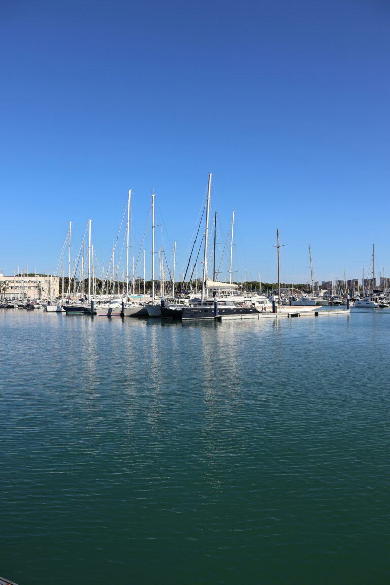 🗓️ VENTE AUX ENCHÈRES — NAVIRES — 23/01/26 à 14h00